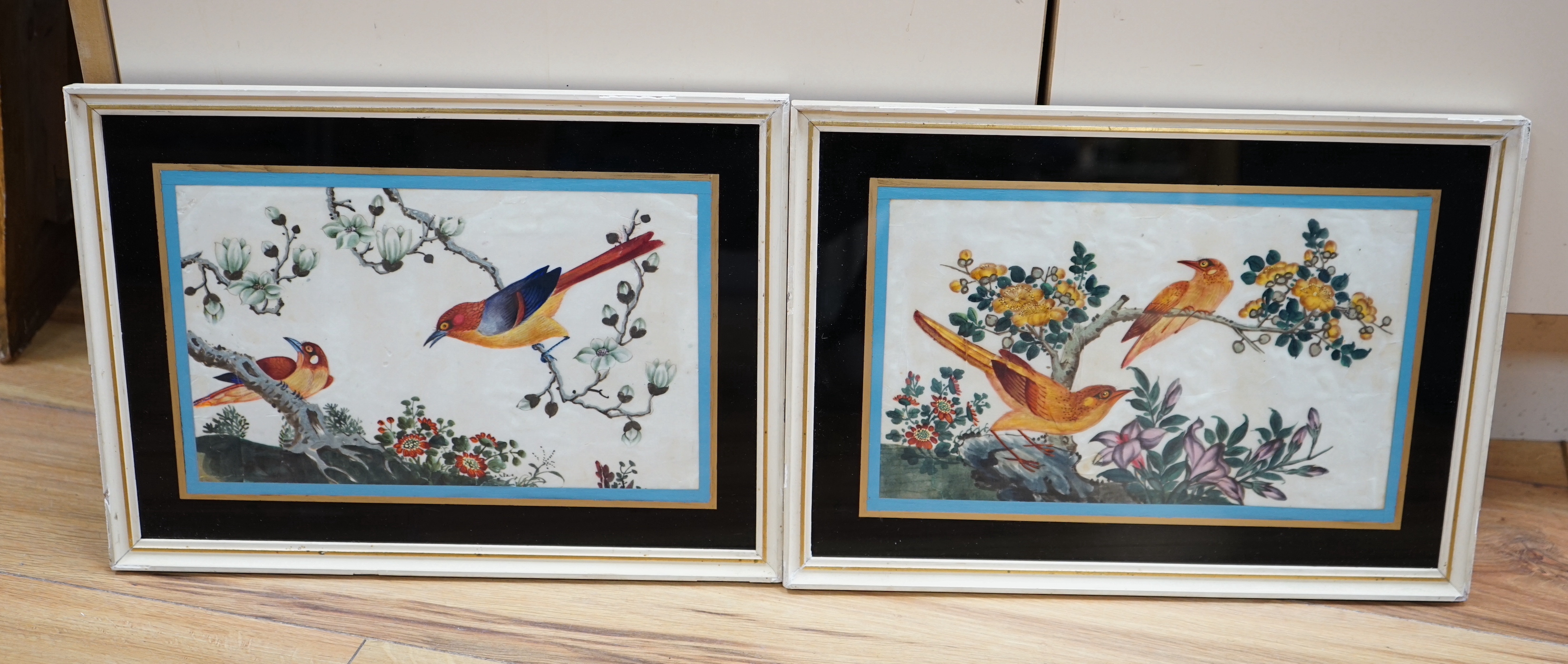 19th century Chinese school, pair of pith paper paintings, Birds of paradise amongst flowers, 17 x 28cm